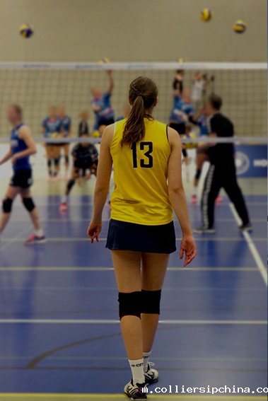 政府机关及运动场馆