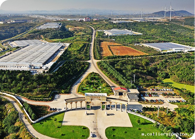 必威betway中文官网再度携手民和，撑起绿色食品“保护伞”